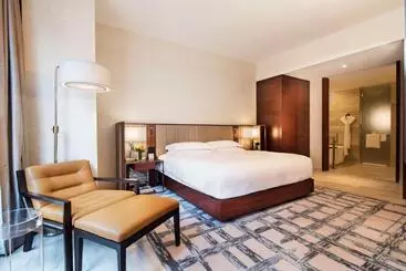 Hotelli Park Hyatt New York