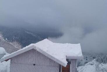 Motel The Wonderland Cottages & Cafe