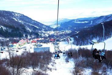 Tsaghkadzor, Alvina Complex Apartment 163