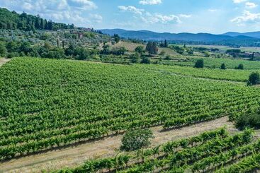 Сельский отель Tenuta La Pieve Casale La Valle