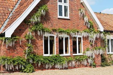 Colston Hall Cottages