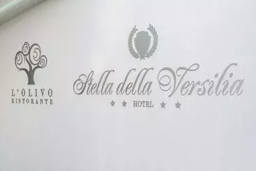 فندق Stella Della Versilia