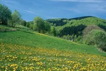 Lomakeskus Typ Dachsbau