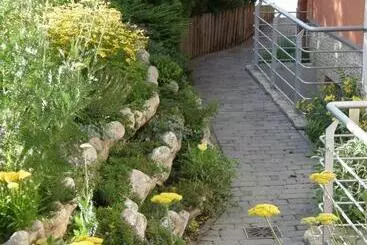 Pensionat Promedicum Panzio