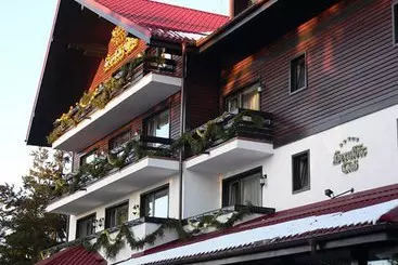 Pensiune Drachenhaus Poiana Brasov