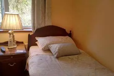 ベッドアンドブレックファースト Corrib View Guesthouse H91rr72