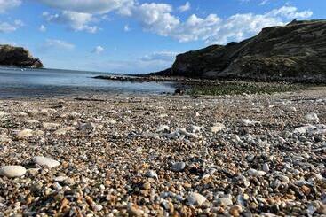 Bed and Breakfast Wynards Farm Sunset Room