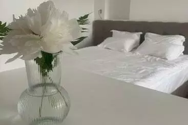 Bed and Breakfast La Rose Du Cèdre