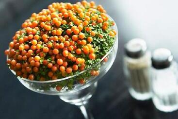 בית מלון כפרי Surte