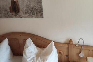 Bed and Breakfast Pension Weißer Hirsch