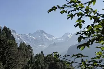 Szálloda Alpenrose Wengen