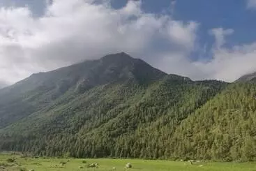 Hotel Samaa Resorts Chitkul Heights