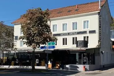 בית מלון כפרי Artist