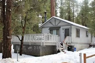 コテージ Cedar Pines