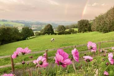 茅舍 Inviting 5 Beth Caravan In Corwen North Wales