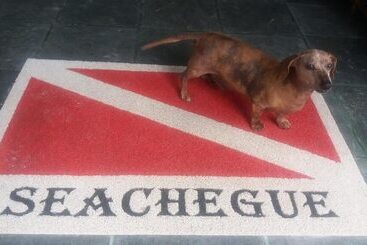 هتل Pousada Seachegue