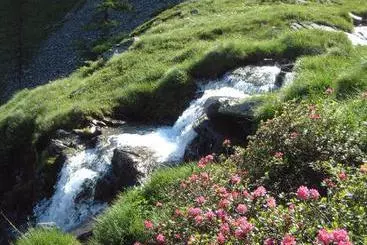 Cabane Bauernhof Brandhof