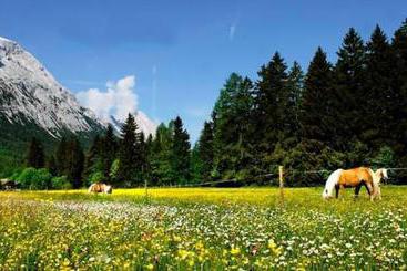 Cabane Bauernhof Liedlhof