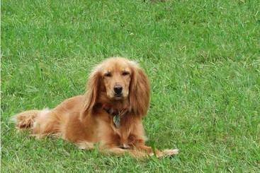 コテージ Bauernhof Knoblechner