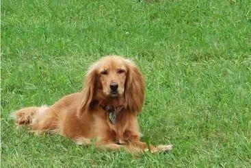 별장 Bauernhof Knoblechner