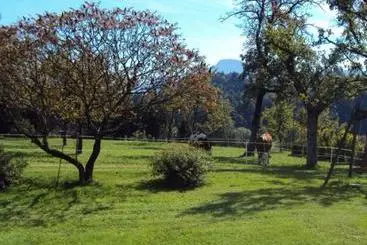 Casa Rurale Bauernhof Knoblechner