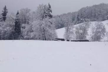 コテージ Rauhbergerhof