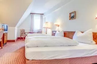 Pension Blödel Gasthof Grüner Baum