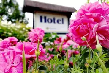 Отель & Gasthaus Zum Domkreuger