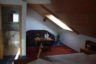 Hotel Mettenberger Hof   Pension