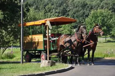Greenline Waldhotel Forsthaus Dröschkau
