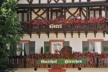 호텔 Hirschen