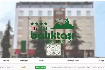 Hotell Baliktasi City