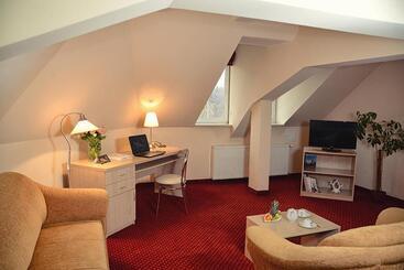 בית מלון כפרי Zamkowy