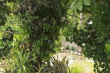 Casa Hostal Mamey Hostel