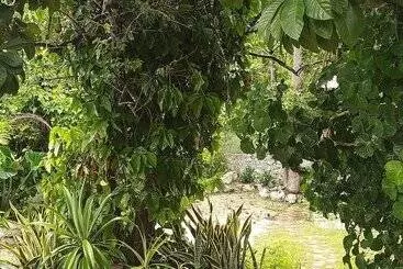 Casa Hostal Mamey   Hostel