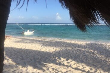 هتل Hammock Heaven