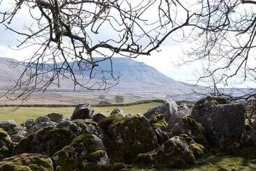 קוטג'' Magistrates Chambers