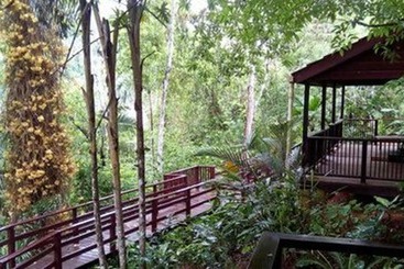 ペンション Belize Botanic Gardens  Cottages And Jungle Guest House