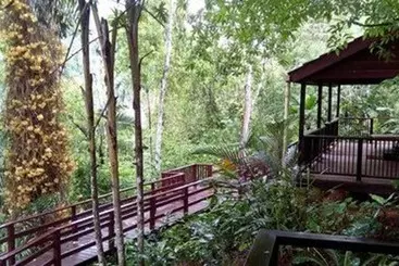 Pensionat Belize Botanic Gardens  Cottages And Jungle Guest House