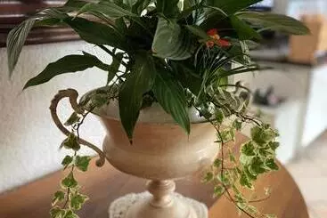 בית מלון כפרי Bett & Frühstück