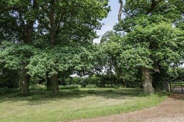 קוטג'' Squirrels Drey