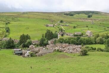 קוטג'' The Curlews