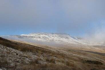 コテージ Bill's Place