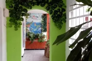 Caribbean Hostel