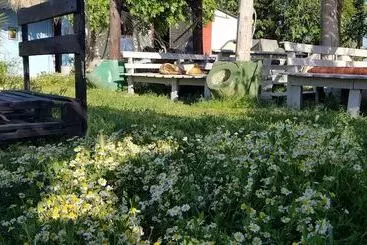 Hotel Teos Sanat Kampi