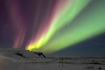 ペンション Dalshöfði Guesthouse
