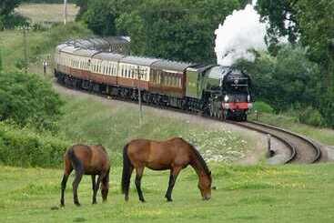 بيت ريفى The Barn