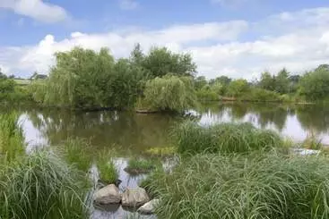 Mökkimajoitus The Coach House