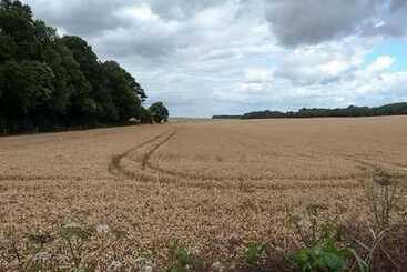 Casa Rurale The Willows