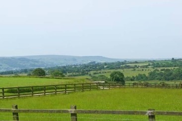 کلبه Cringles House